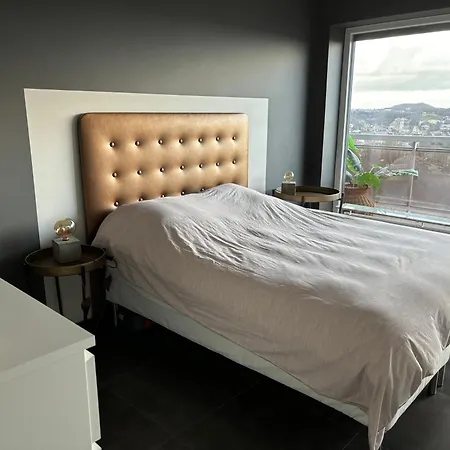Alexis's Loft 2 * Liege